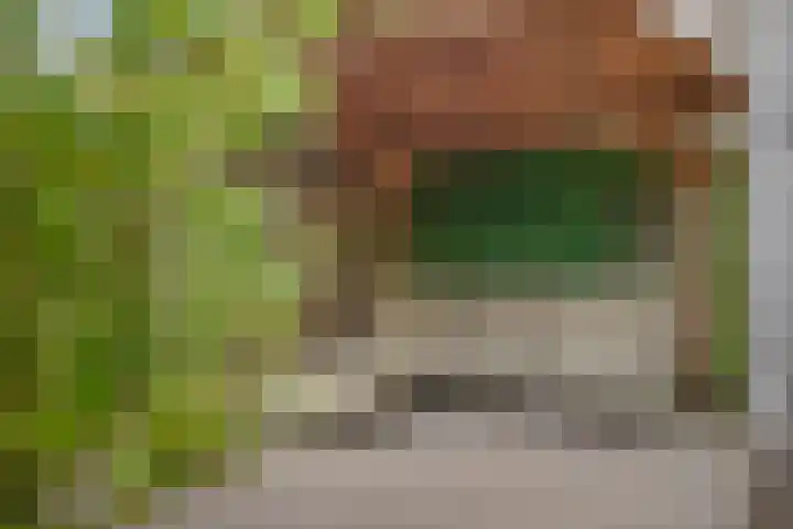 Poldermeesterhof 26 Krimpen aan den IJssel thumbnail 33