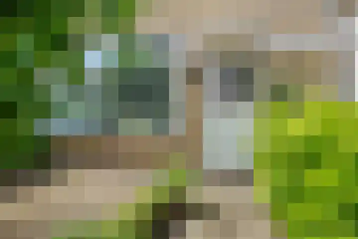 Poldermeesterhof 26 Krimpen aan den IJssel thumbnail 35