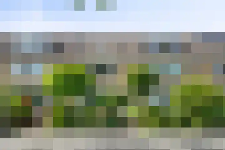 Poldermeesterhof 26 Krimpen aan den IJssel thumbnail 37