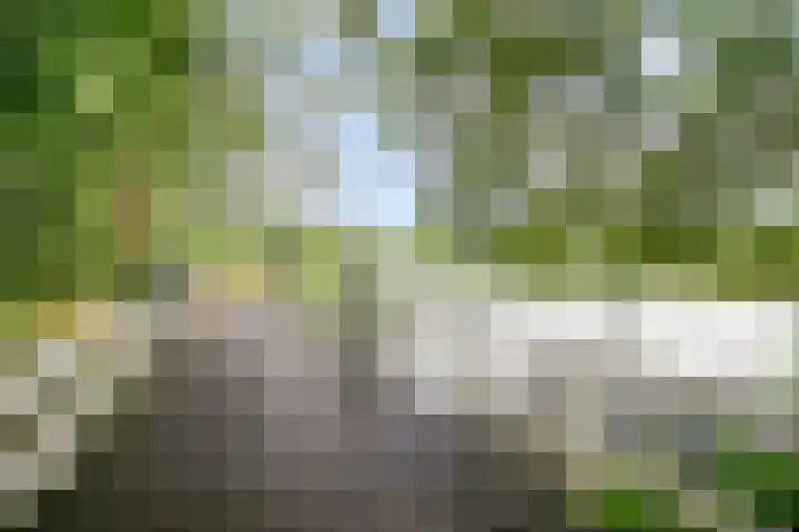 Poldermeesterhof 26 Krimpen aan den IJssel thumbnail 38