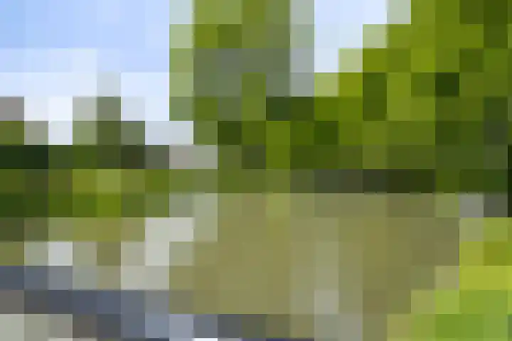 Poldermeesterhof 26 Krimpen aan den IJssel thumbnail 39