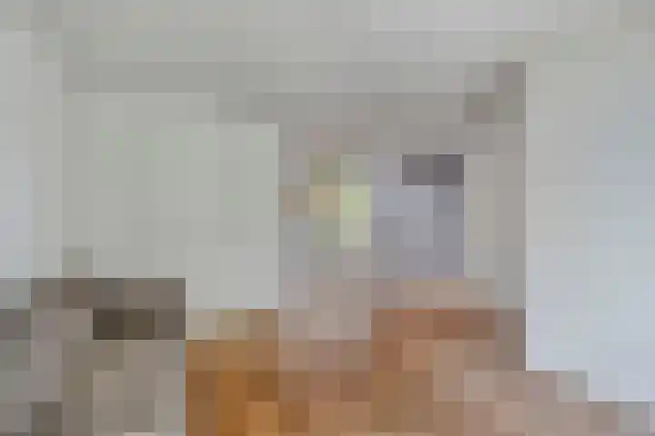 Poldermeesterhof 26 Krimpen aan den IJssel thumbnail 4