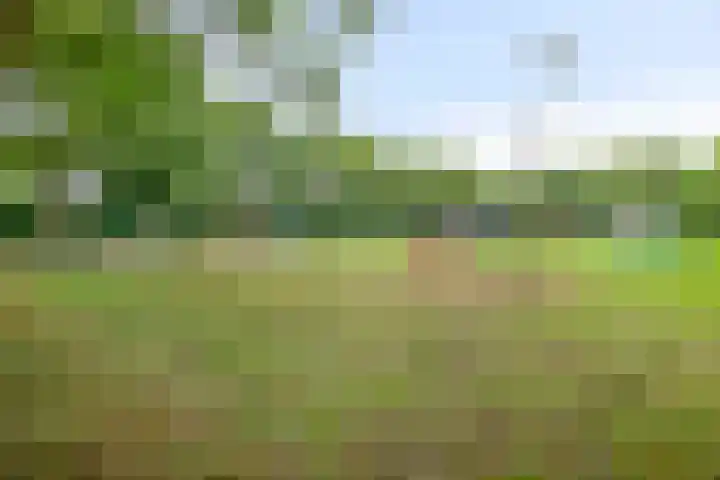 Poldermeesterhof 26 Krimpen aan den IJssel thumbnail 41