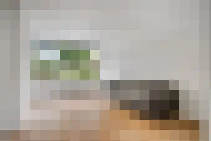 Poldermeesterhof 26 Krimpen aan den IJssel thumbnail 5