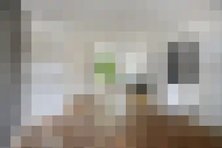 Poldermeesterhof 26 Krimpen aan den IJssel thumbnail 6