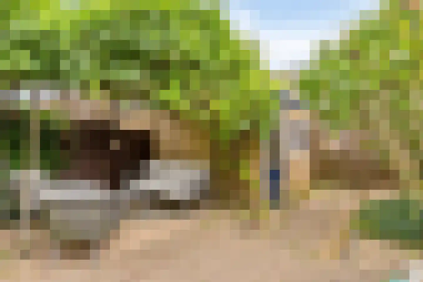 Poldermeesterhof 28 Krimpen aan den IJssel thumbnail 26