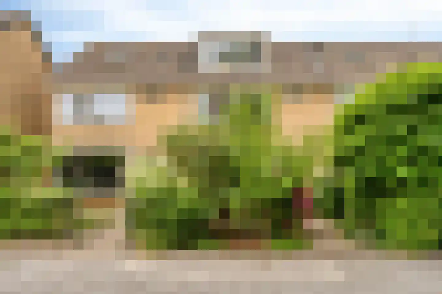 Poldermeesterhof 28 Krimpen aan den IJssel thumbnail 30