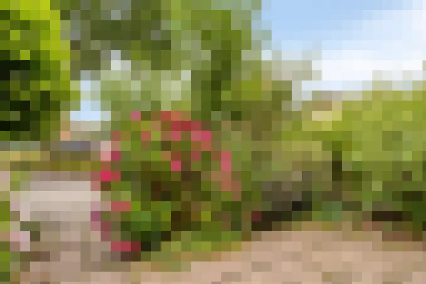 Poldermeesterhof 28 Krimpen aan den IJssel thumbnail 32
