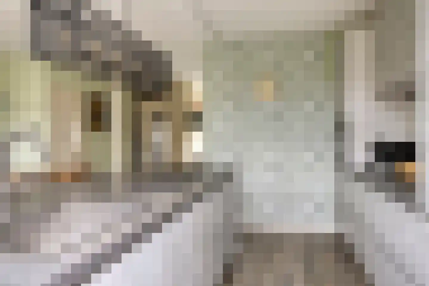 Poldermeesterhof 28 Krimpen aan den IJssel thumbnail 4
