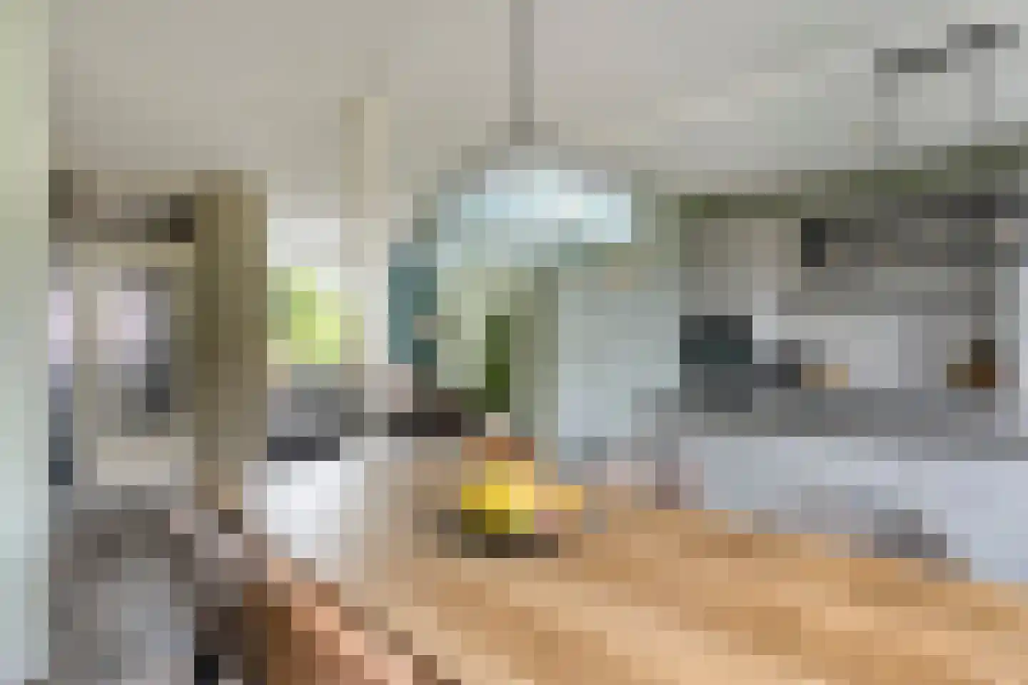 Poldermeesterhof 28 Krimpen aan den IJssel thumbnail 6