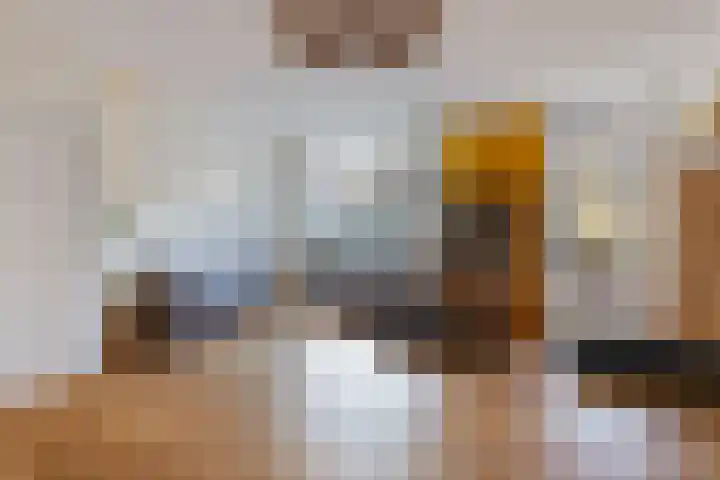 Poldermeesterslag 5 Gouda thumbnail 10