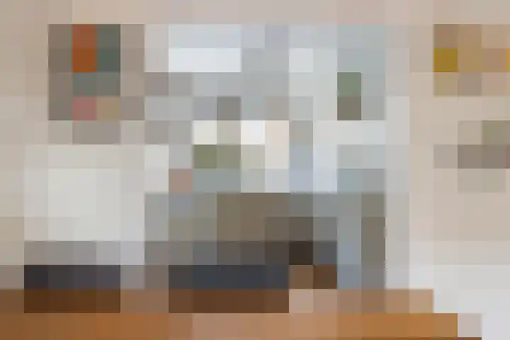 Poldermeesterslag 5 Gouda thumbnail 15