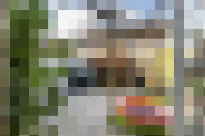 Poldermeesterslag 5 Gouda thumbnail 44