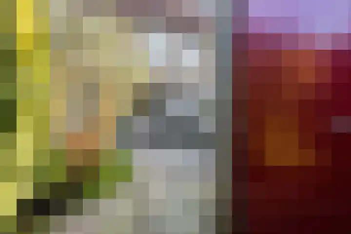 Poldermeesterslag 5 Gouda thumbnail 47