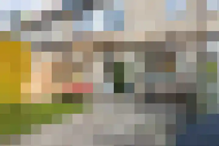 Poldermeesterslag 5 Gouda thumbnail 50