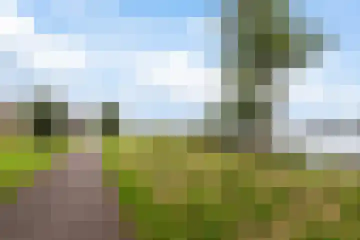 Poldermeesterslag 5 Gouda thumbnail 56
