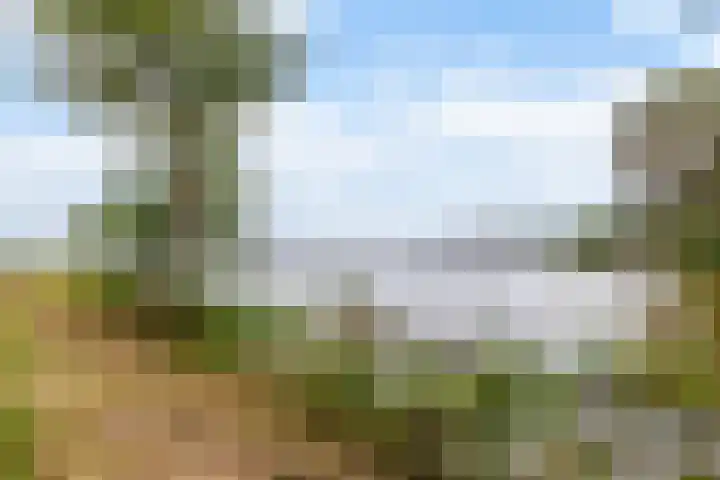 Poldermeesterslag 5 Gouda thumbnail 57