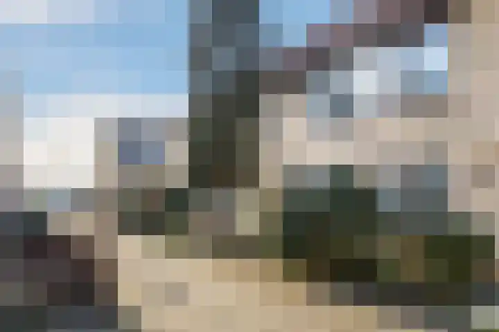 Poldermeesterslag 5 Gouda thumbnail 7