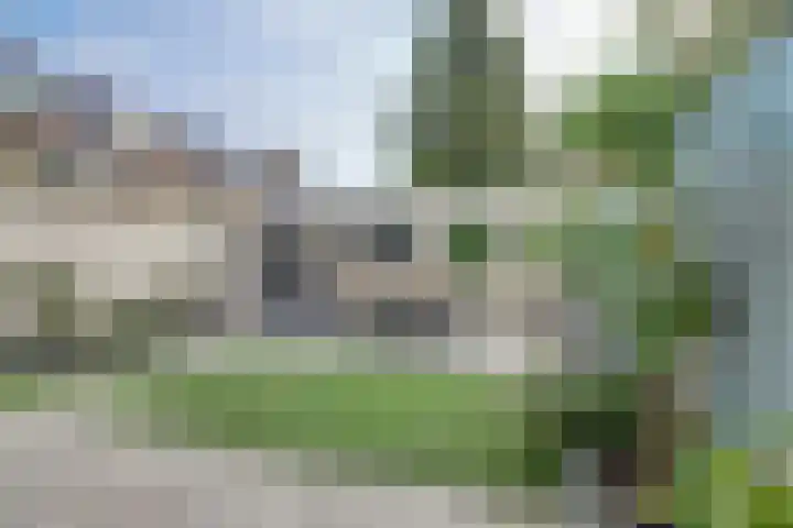 Poldermeesterslag 68 Gouda thumbnail 34