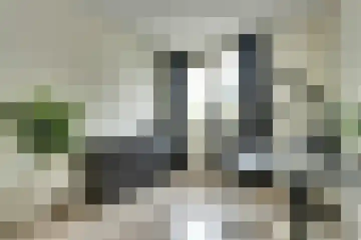 Poldermeesterslag 9 Gouda thumbnail 19
