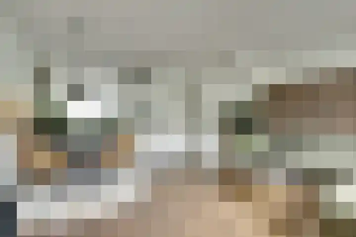 Poldermeesterslag 9 Gouda thumbnail 8