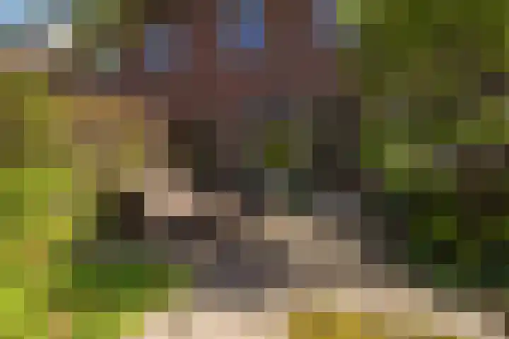 Poldermeesterstraat 5 Delfgauw thumbnail 25
