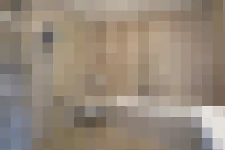Poldermeesterstraat 5 Delfgauw thumbnail 33
