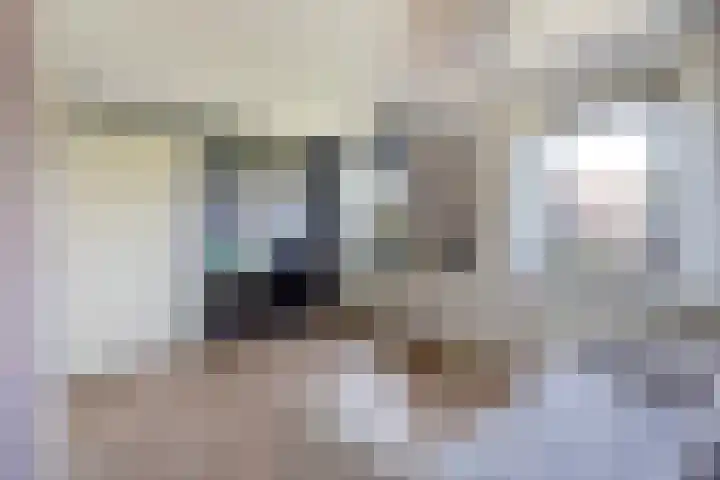 Poldermeesterstraat 5 Delfgauw thumbnail 38