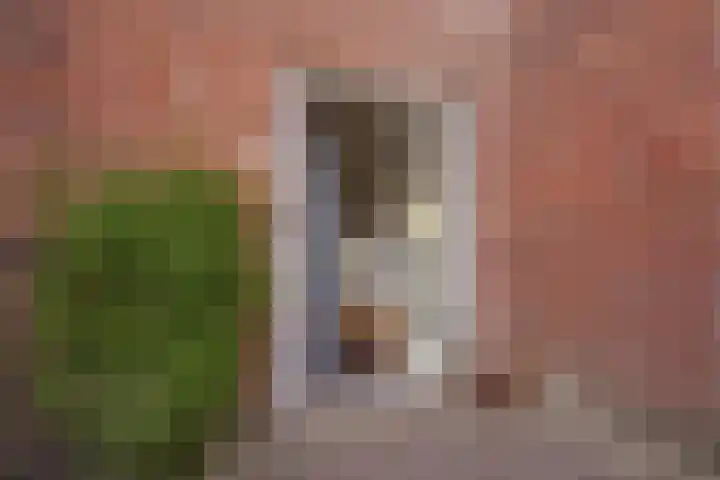 Poldermeesterstraat 5 Delfgauw thumbnail 7