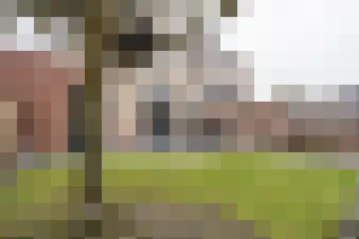 Poldermolen 102 Weert thumbnail 38