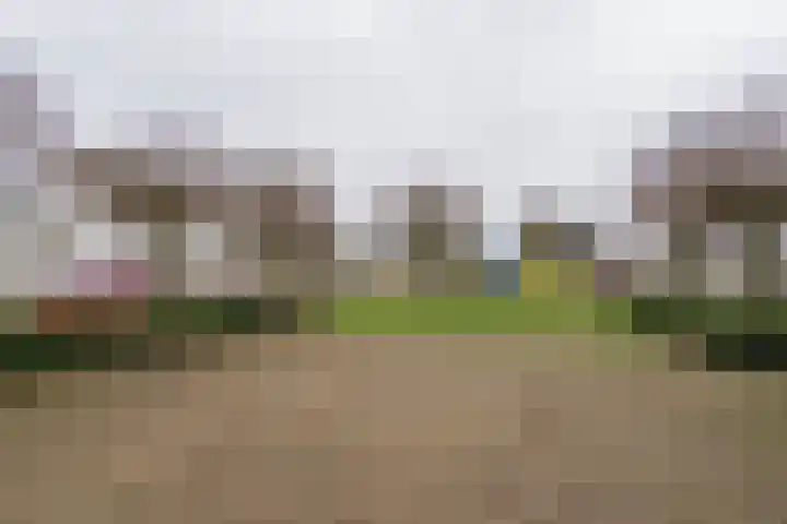 Poldermolen 102 Weert thumbnail 40