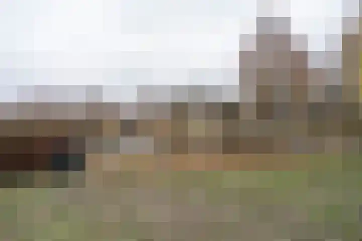 Poldermolen 102 Weert thumbnail 42