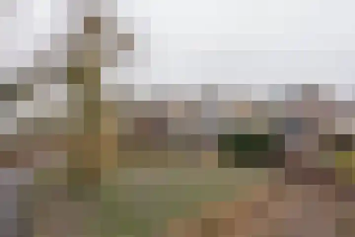 Poldermolen 102 Weert thumbnail 43