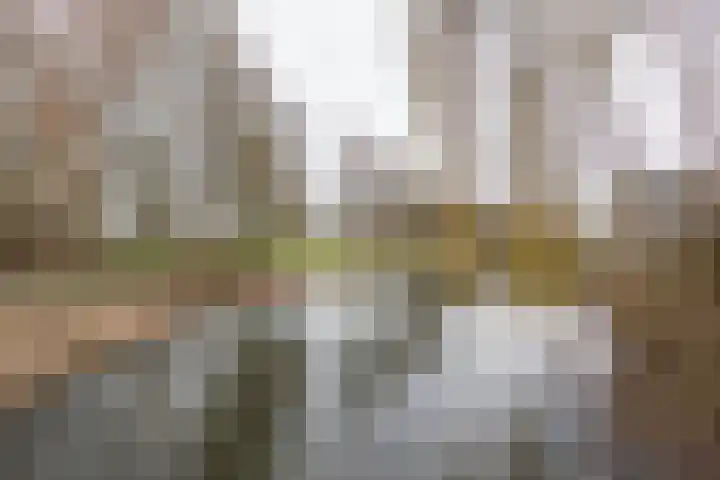 Poldermolen 102 Weert thumbnail 44