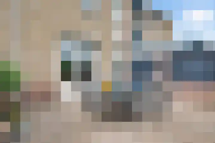Poldermolen 118 Weert thumbnail 30