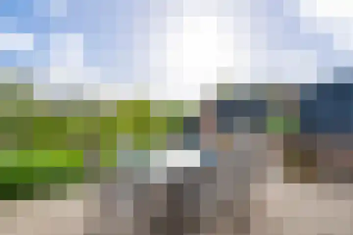 Poldermolen 118 Weert thumbnail 31