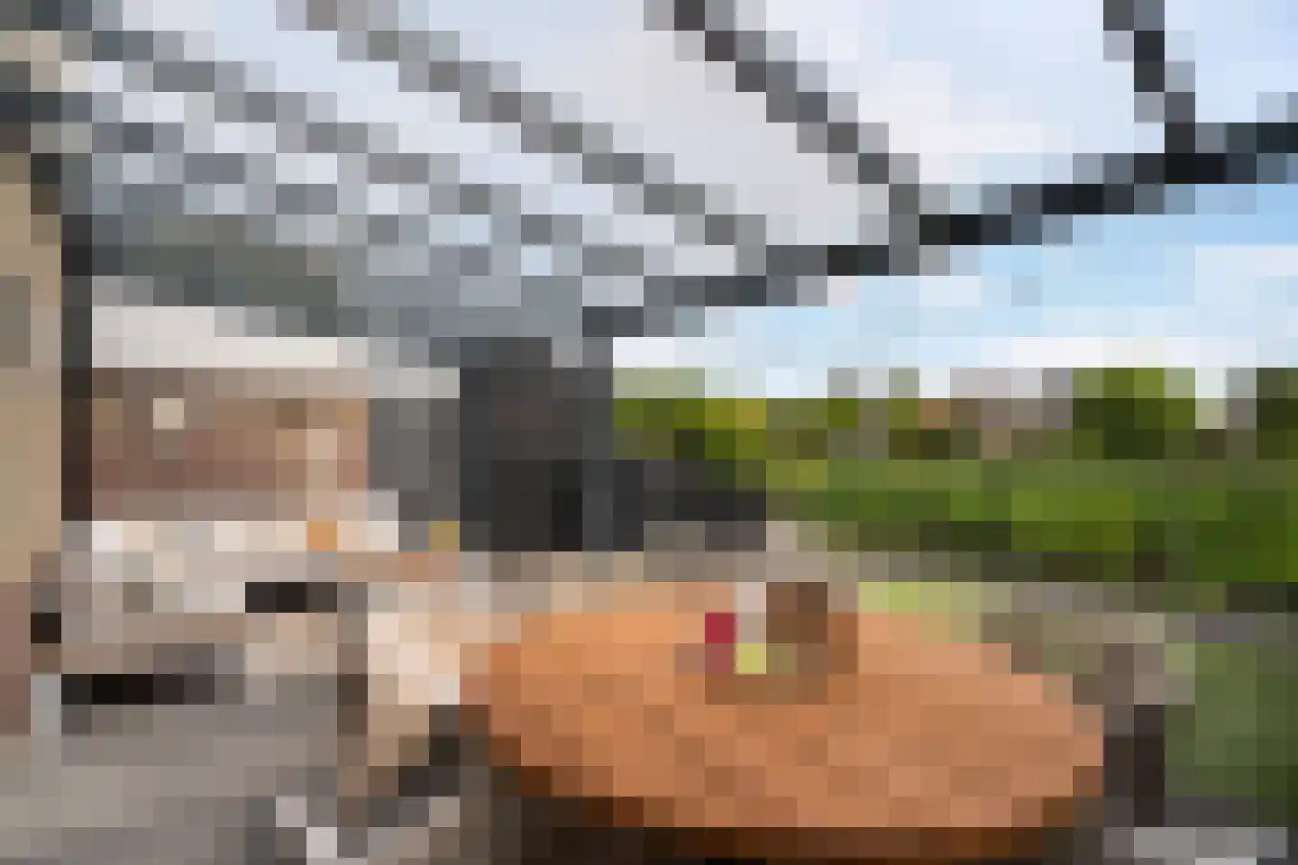 Poldermolen 120 Weert thumbnail 40