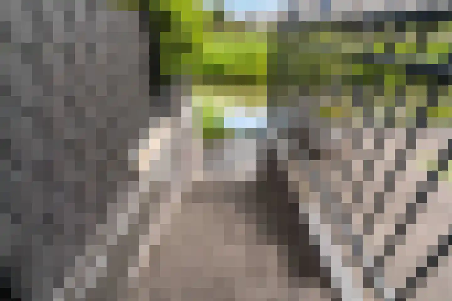 Poldermolen 120 Weert thumbnail 45