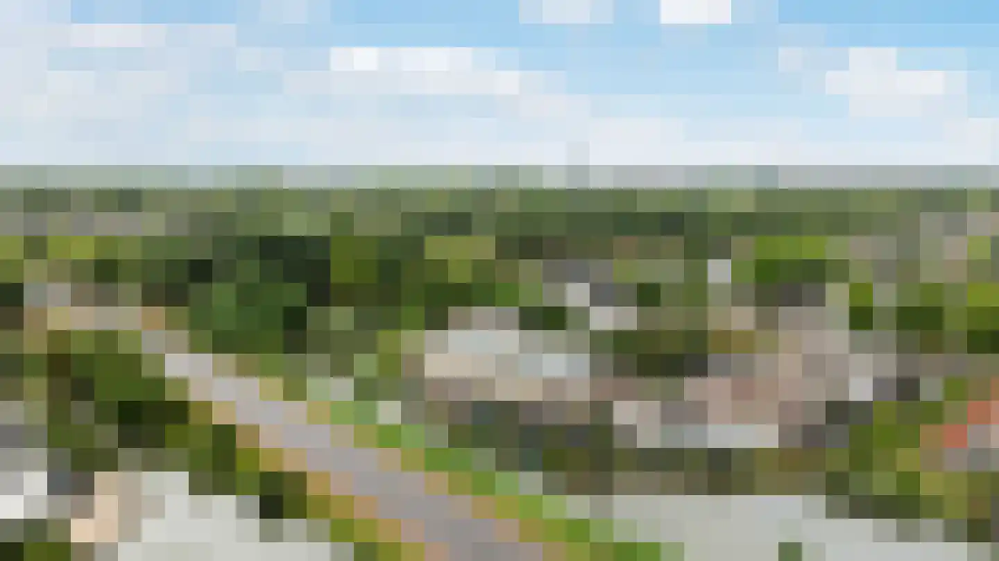 Poldermolen 120 Weert thumbnail 54
