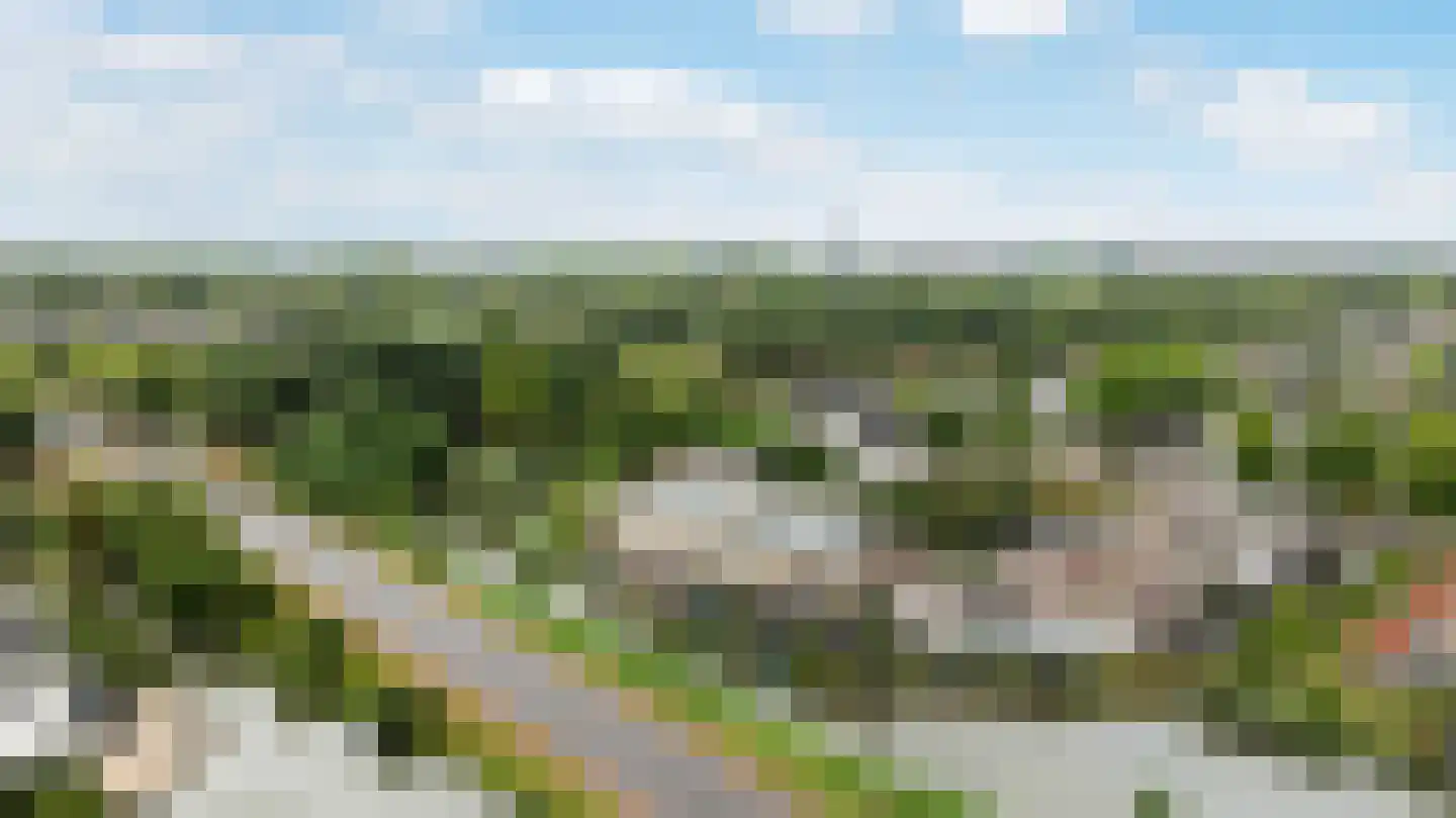 Poldermolen 120 Weert thumbnail 57