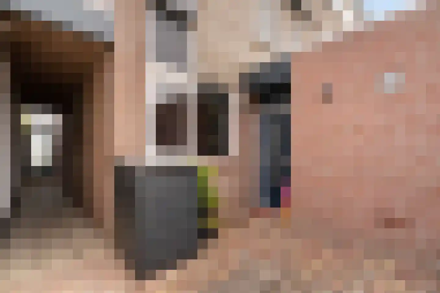 Poldermolen 120 Weert thumbnail 8