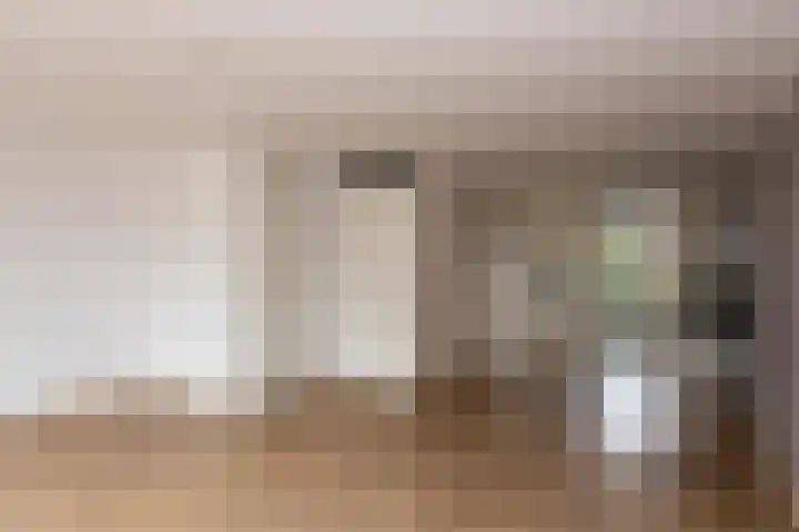 Poldermolen 13 Berkel-Enschot thumbnail 11