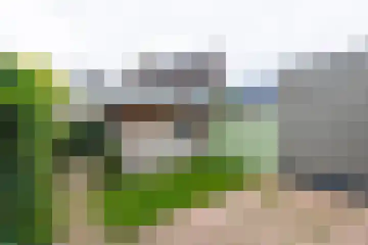Poldermolen 13 Berkel-Enschot thumbnail 26