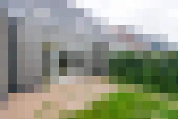 Poldermolen 13 Berkel-Enschot thumbnail 27