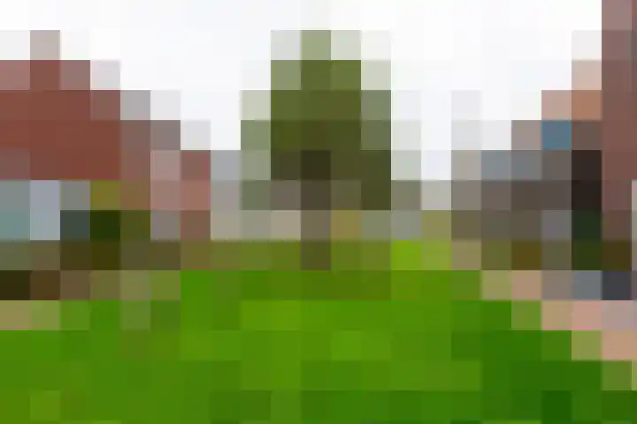 Poldermolen 13 Berkel-Enschot thumbnail 32