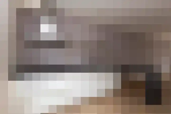 Poldermolen 13 Berkel-Enschot thumbnail 5