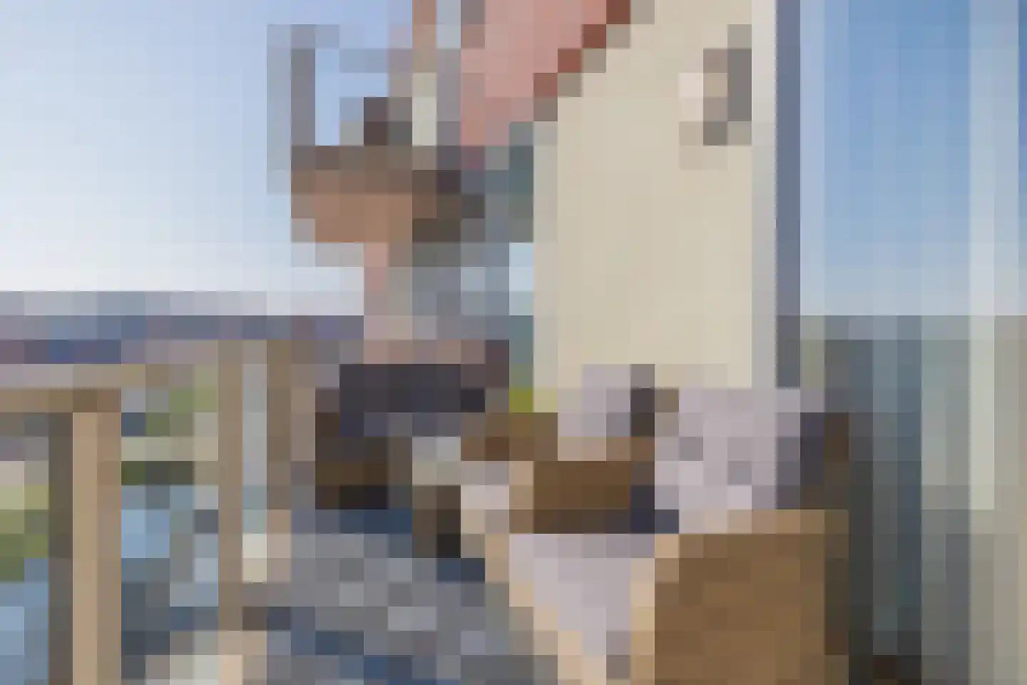 Poldermolen 15 Noordwijkerhout thumbnail 8