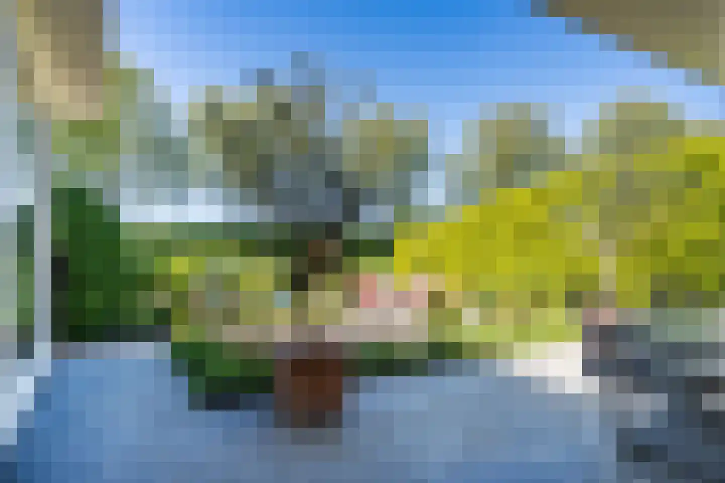 Poldermolen 156 Weert thumbnail 43
