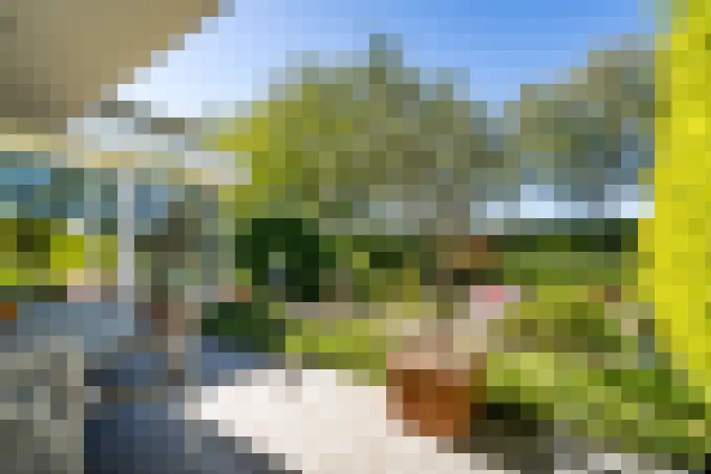 Poldermolen 156 Weert thumbnail 44