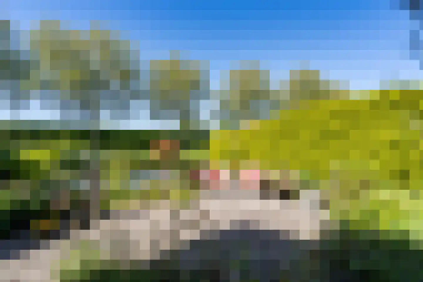 Poldermolen 156 Weert thumbnail 46